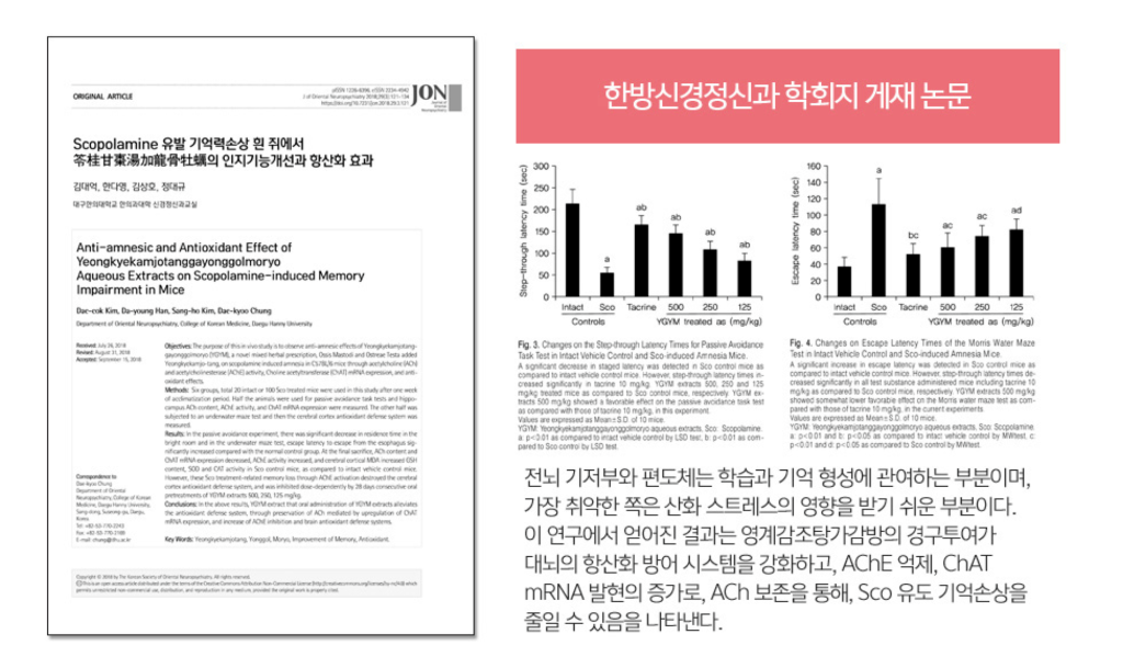 기억력 및 인지기능 개선 한방 연구 논문